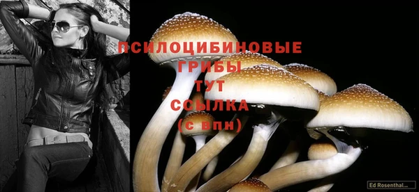 первитин Россошь