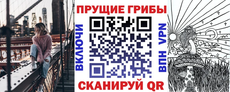 Псилоцибиновые грибы Psilocybine cubensis  Кирсанов 
