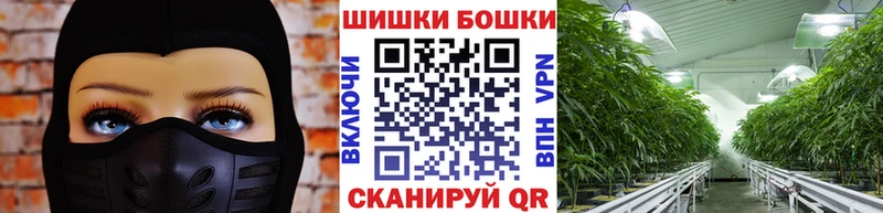 Шишки марихуана THC 21%  сколько стоит  Кирсанов 